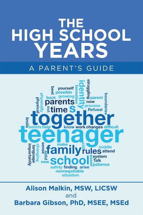 Produktbild: The High School Years