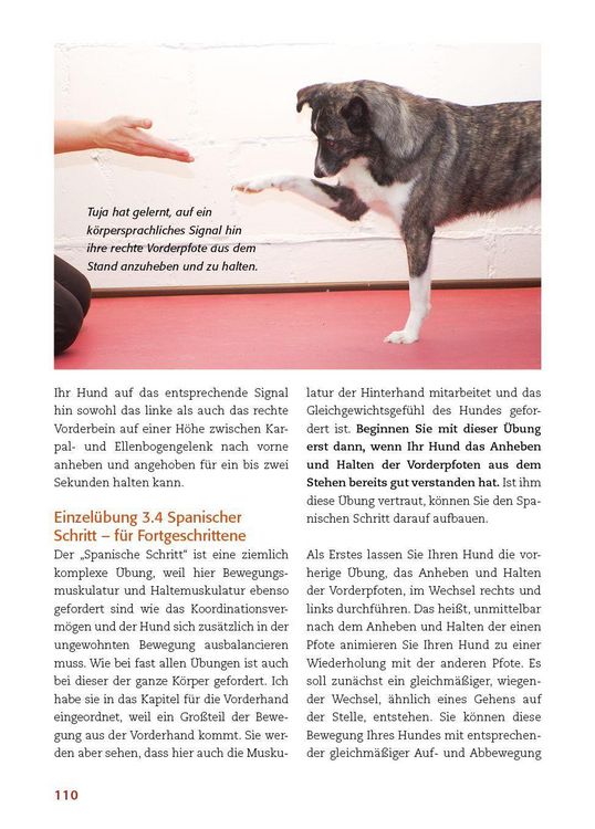 Produktbild: K&ouml;rperarbeit mit dem Hund