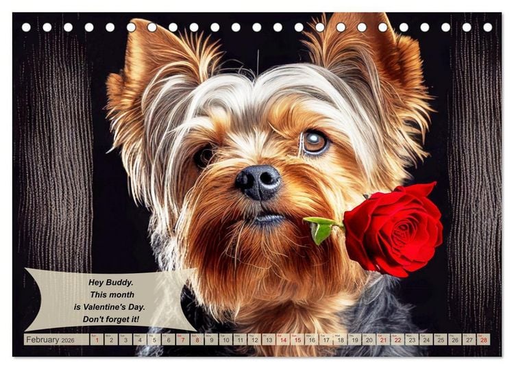 Produktbild: Great fun for Yorkshire Terrier lovers (Desk Calendar 2026 DIN A5 landscape), CALVENDO 12 Month DeskCalendar