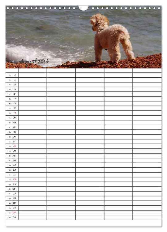 Produktbild: Der Pudel-Familienplaner (Wandkalender 2026 DIN A3 hoch), CALVENDO Monatskalender