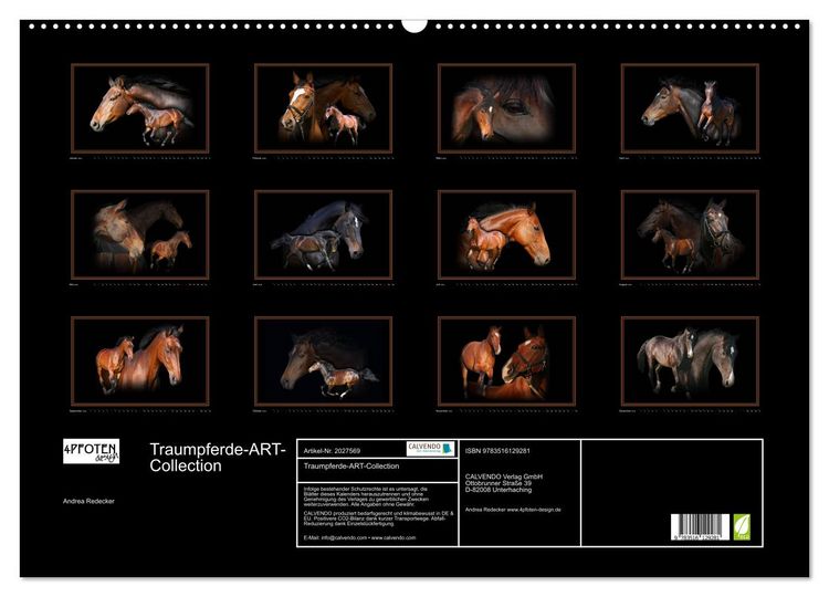 Produktbild: Traumpferde-ART-Collection (Wandkalender 2026 DIN A2 quer), CALVENDO Monatskalender