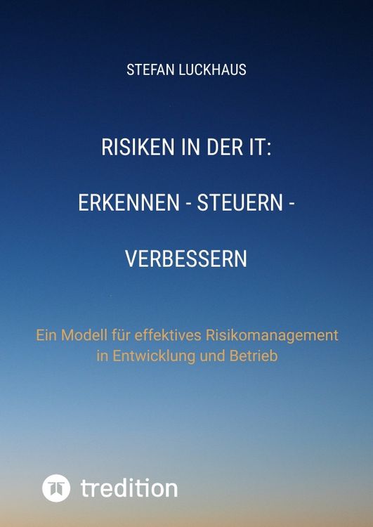 Produktbild: Risiken in der IT: Erkennen - Steuern - Verbessern