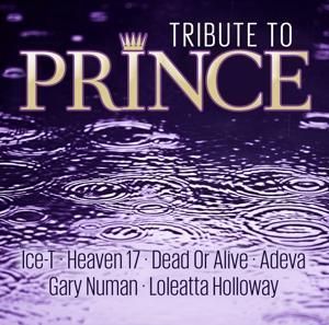 Produktbild: Tribute To Prince