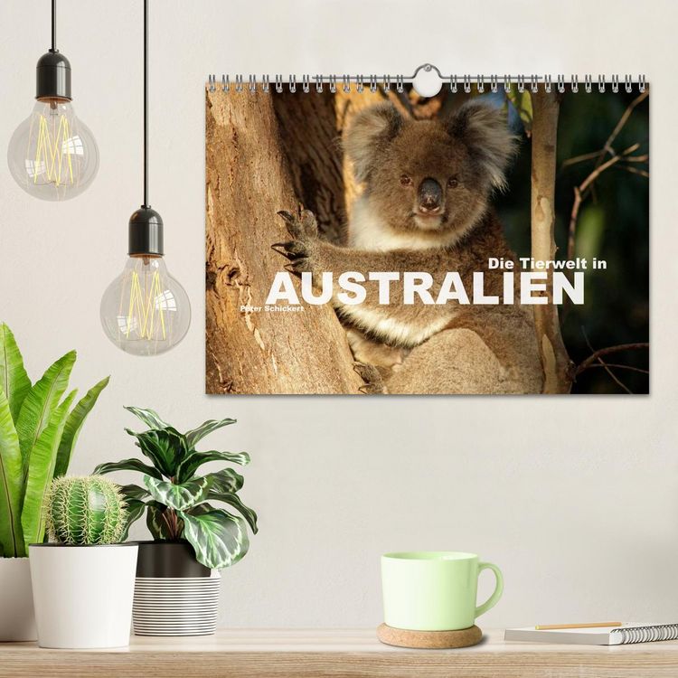 Produktbild: Die Tierwelt in Australien (Wandkalender 2026 DIN A4 quer), CALVENDO Monatskalender
