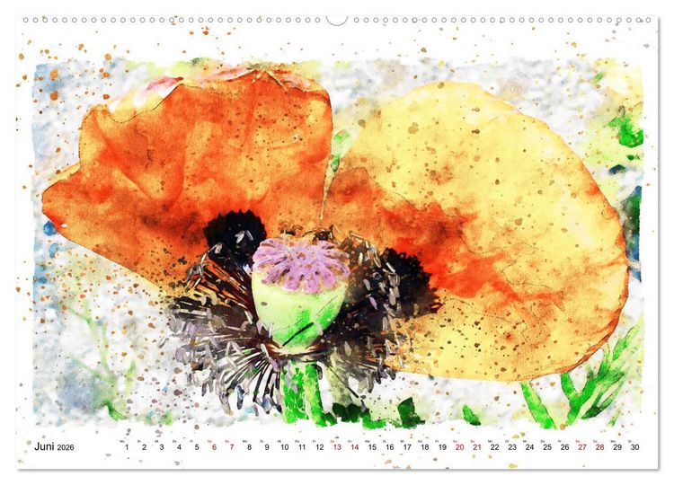 Produktbild: Mohnbl&uuml;ten in Aquarell (hochwertiger Premium Wandkalender 2026 DIN A2 quer), Kunstdruck in Hochglanz