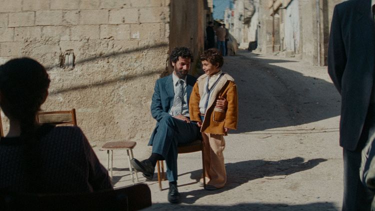 Produktbild: Im Schatten des Orangenbaums