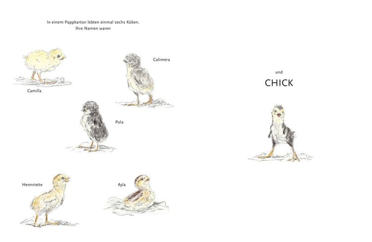 Produktbild: Chick