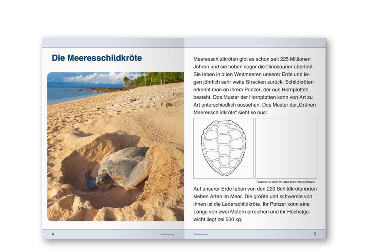 Produktbild: Langhans, K: Ich kenne die Meeresschildkröte - Lebenszyklus