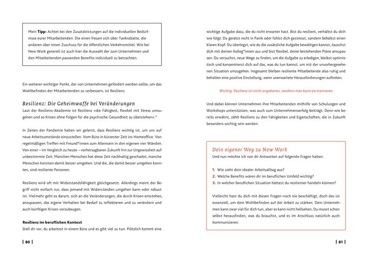 Produktbild: Eingetaucht: New Work