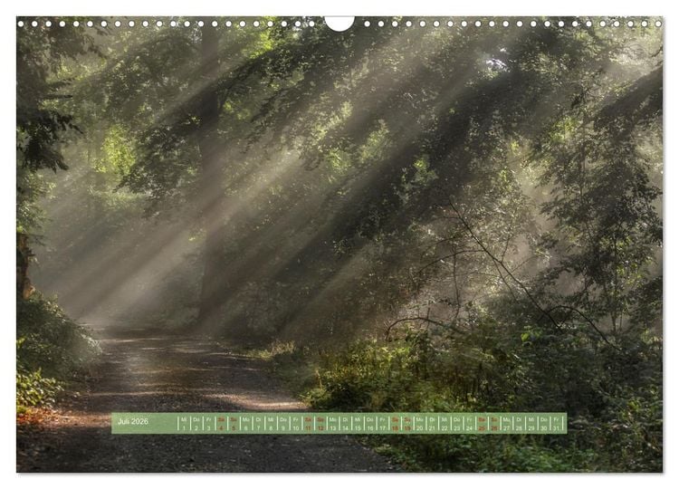 Produktbild: Zauber des Lichts (Wandkalender 2026 DIN A3 quer), CALVENDO Monatskalender