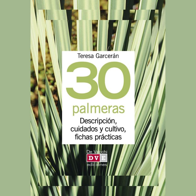 Produktbild: 30 palmeras