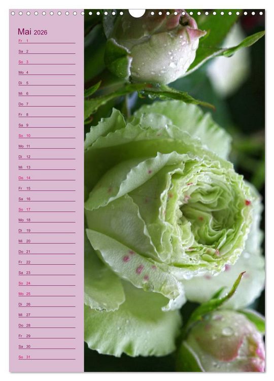 Produktbild: Rosen Symphonie (Wandkalender 2026 DIN A3 hoch), CALVENDO Monatskalender