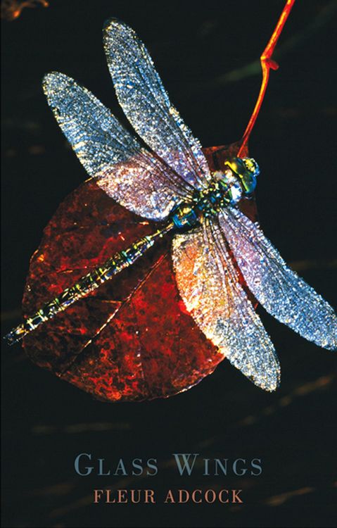 Produktbild: Glass Wings