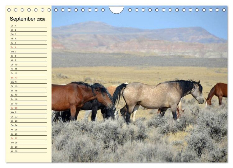 Produktbild: Wilde Pferde. Mustangs in USA (Wandkalender 2026 DIN A4 quer), CALVENDO Monatskalender