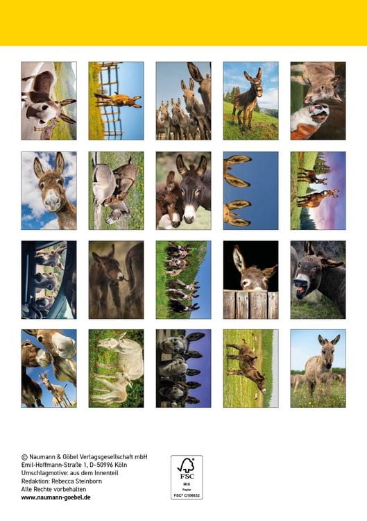 Produktbild: Postkartenblock Esel