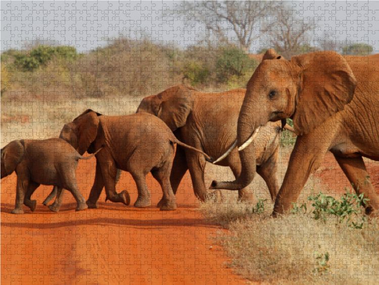 Produktbild: CALVENDO Puzzle Elefanten - Parade 1000 Teile Lege-Gr&ouml;&szlig;e 64 x 48 cm Foto-Puzzle Bild von Michael Herzog