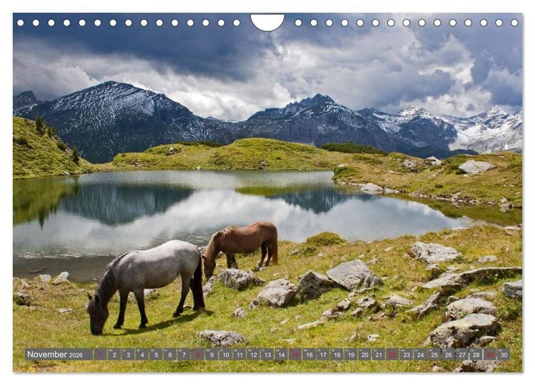 Produktbild: Wir sind die Stars auf der Alm (Wandkalender 2026 DIN A4 quer), CALVENDO Monatskalender