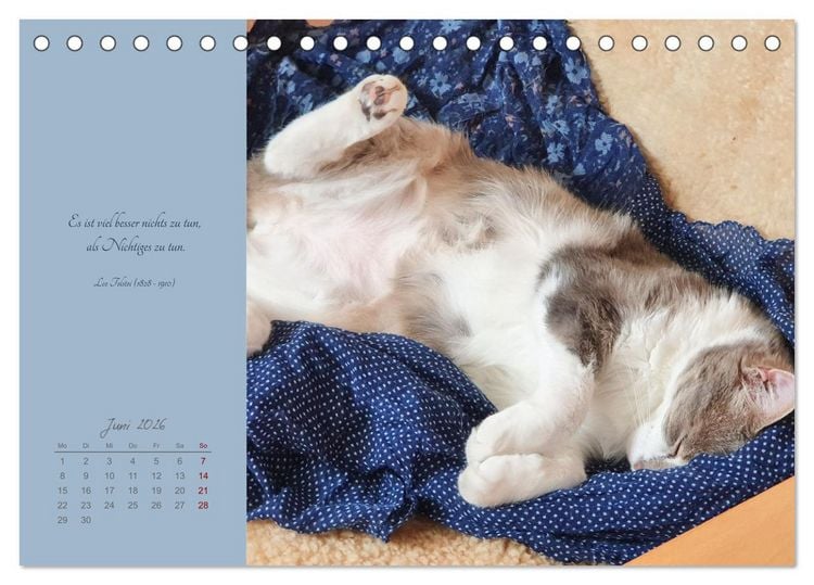 Produktbild: H&auml;ng einfach mal ab (Tischkalender 2026 DIN A5 quer), CALVENDO Monatskalender
