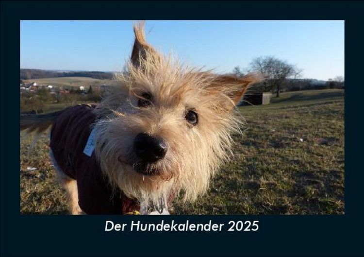 Produktbild: Der Hundekalender 2025 Fotokalender DIN A5