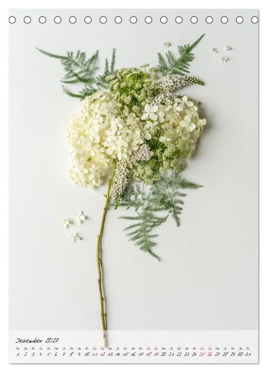 Produktbild: Zauberbl&uuml;ten (Tischkalender 2027 DIN A5 hoch), CALVENDO Monatskalender