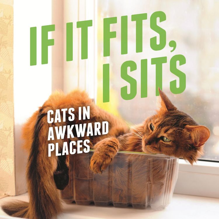 Produktbild: If It Fits, I Sits