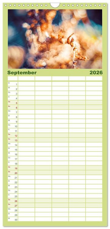 Produktbild: Familienplaner 2026 - Farne vom Licht umtanzt mit 5 Spalten (Wandkalender, 21 x 45 cm) CALVENDO