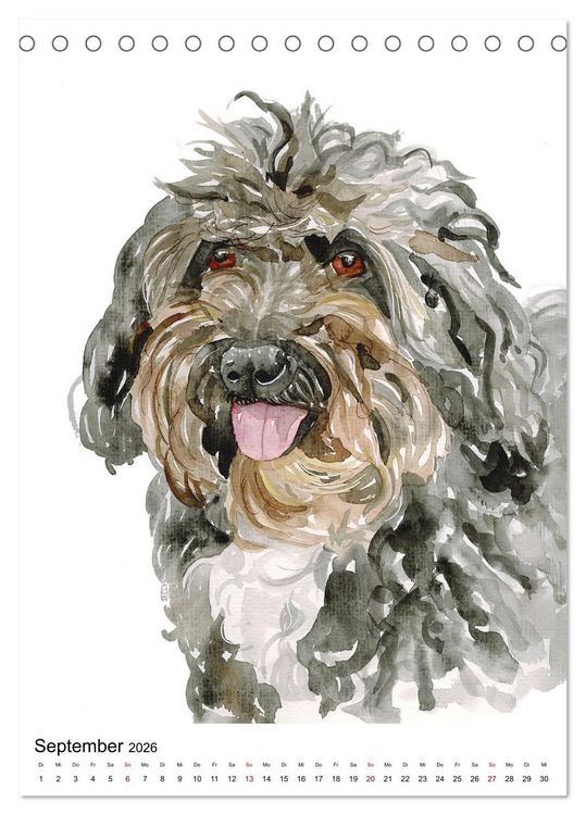 Produktbild: Hunde Portr&auml;ts in Aquarell (Tischkalender 2026 DIN A5 hoch), CALVENDO Monatskalender