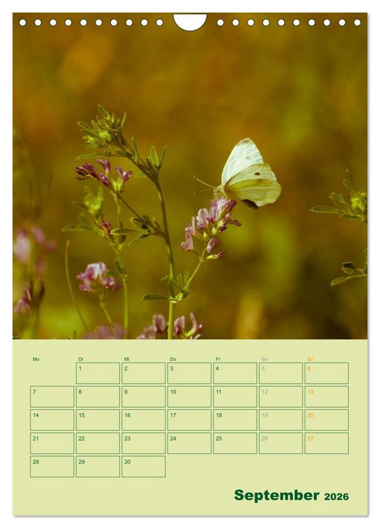 Produktbild: Wald- und Wiesenkalender 2026 Planer (Wandkalender 2026 DIN A4 hoch), CALVENDO Monatskalender