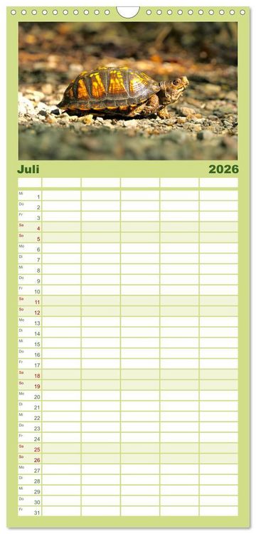 Produktbild: Familienplaner 2026 - Reptilien - Tierische Farbenpracht mit 5 Spalten (Wandkalender, 21 x 45 cm) CALVENDO