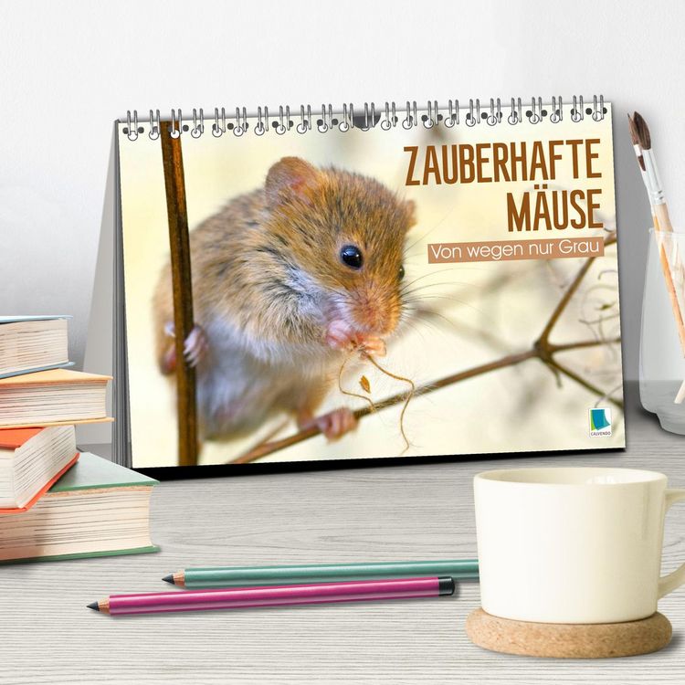 Produktbild: Zauberhafte M&auml;use: Von wegen nur Grau (Tischkalender 2026 DIN A5 quer), CALVENDO Monatskalender