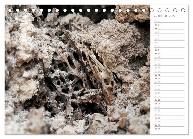 Produktbild: Abstrakte Umwelt (Tischkalender 2027 DIN A5 quer), CALVENDO Monatskalender