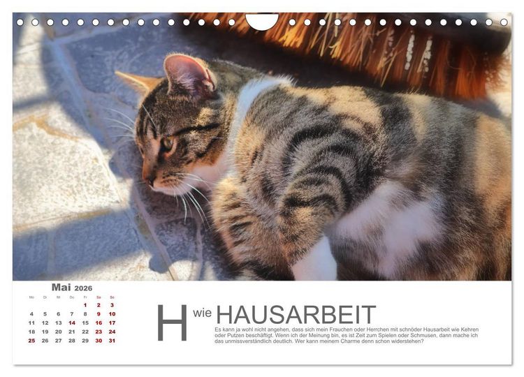 Produktbild: Katzen ABC (Wandkalender 2026 DIN A4 quer), CALVENDO Monatskalender