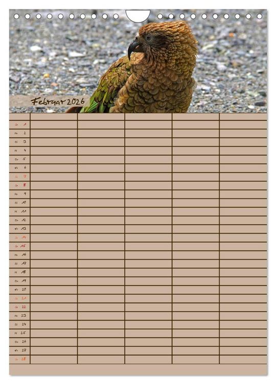 Produktbild: Tierischer Familienplaner (Wandkalender 2026 DIN A4 hoch), CALVENDO Monatskalender