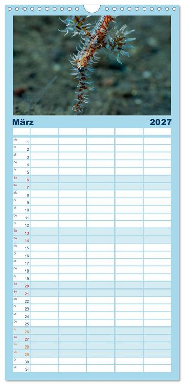 Produktbild: Familienplaner 2027 - Faszination blaue Unterwasserwelt mit 5 Spalten (Wandkalender, 21 x 45 cm) CALVENDO