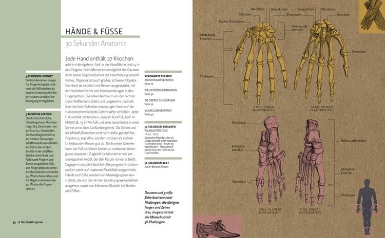 Produktbild: Anatomie in 30 Sekunden