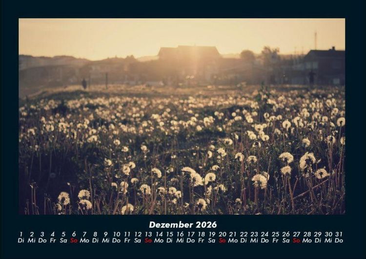 Produktbild: Blumentr&auml;ume 2026 Fotokalender DIN A4