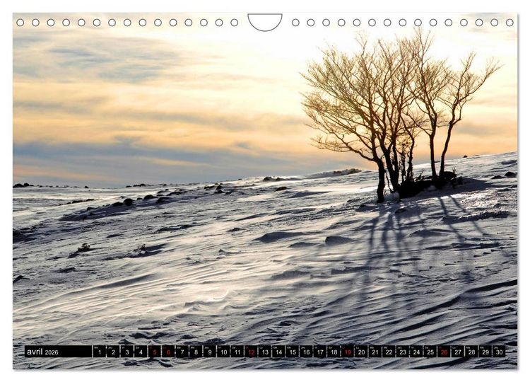 Produktbild: Collection Terre AUBRAC (Calendrier mural 2026 DIN A4 vertical), CALVENDO calendrier mensuel