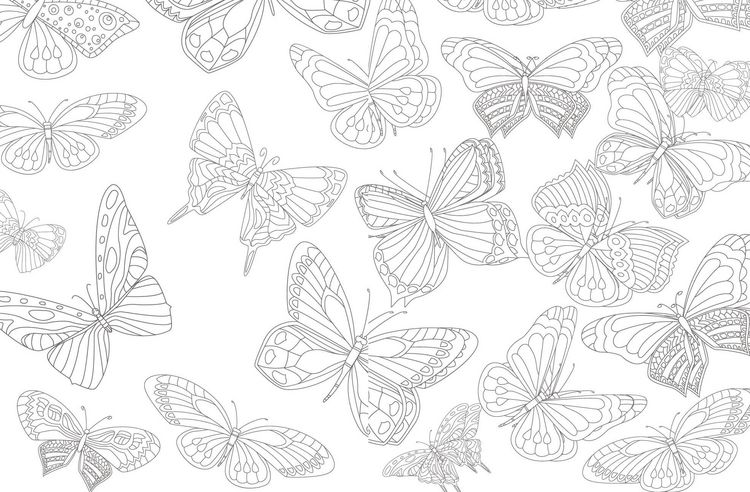 Produktbild: Colorful Mandala &ndash; Bl&uuml;ten und Schmetterlinge