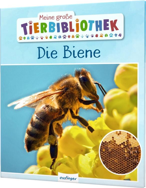 Produktbild: Meine große Tierbibliothek: Die Biene