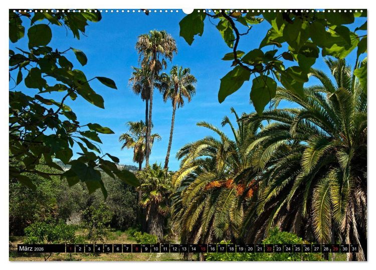 Produktbild: Zauberhafte Riviera - Die Hanbury G&auml;rten (hochwertiger Premium Wandkalender 2026 DIN A2 quer), Kunstdruck in Hochglanz