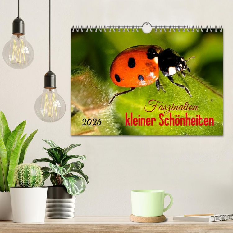 Produktbild: Faszination kleiner Sch&ouml;nheiten (Wandkalender 2026 DIN A4 quer), CALVENDO Monatskalender