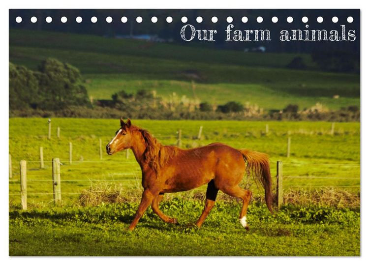 Produktbild: Our farm animals (Desk Calendar 2026 DIN A5 landscape), CALVENDO 12 Month DeskCalendar