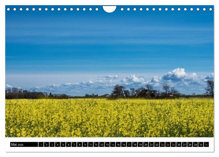 Produktbild: Tr&auml;umende Bilder - Die Nordseehalbinsel Eiderstedt (Wandkalender 2026 DIN A4 quer), CALVENDO Monatskalender