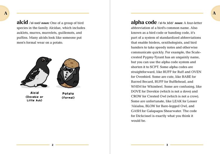 Produktbild: The Birding Dictionary