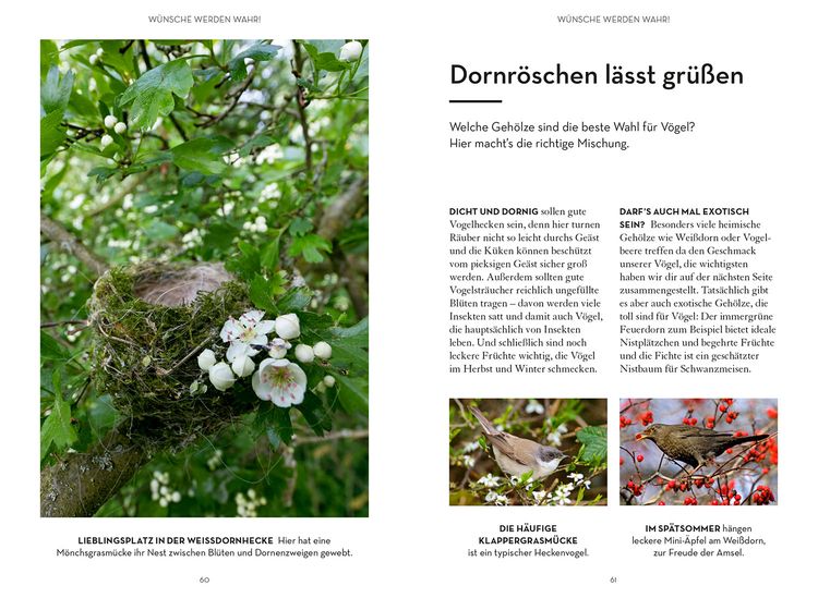 Produktbild: Mach was f&uuml;r V&ouml;gel