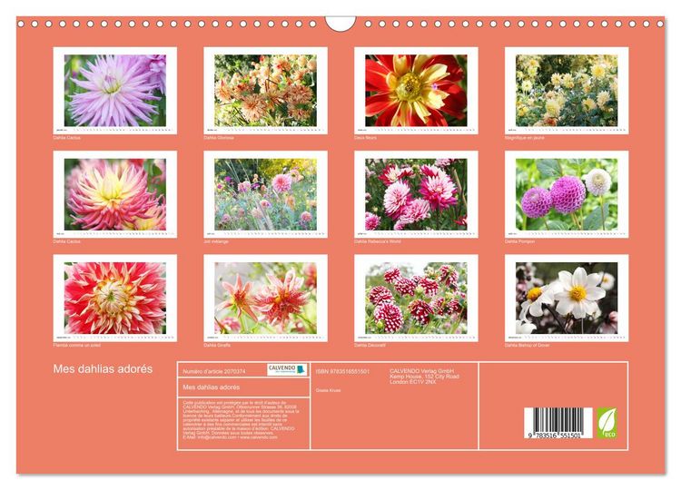 Produktbild: Mes dahlias ador&eacute;s (Calendrier mural 2026 DIN A3 vertical), CALVENDO calendrier mensuel