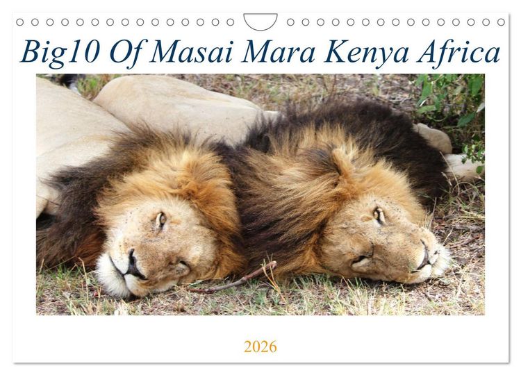 Produktbild: Big10 Of Masai Mara Kenya Africa (Wall Calendar 2026 DIN A4 landscape), CALVENDO 12 Month Wall Calendar