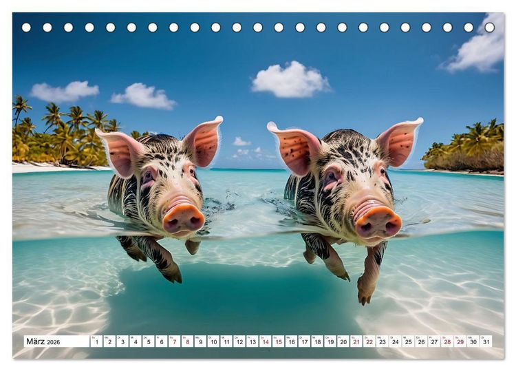 Produktbild: Schwimmende Schweine im Paradies (Tischkalender 2026 DIN A5 quer), CALVENDO Monatskalender