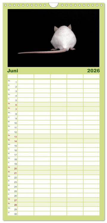 Produktbild: Familienplaner 2026 - S&uuml;&szlig;e M&auml;use und Coole Ratten mit 5 Spalten (Wandkalender, 21 x 45 cm) CALVENDO