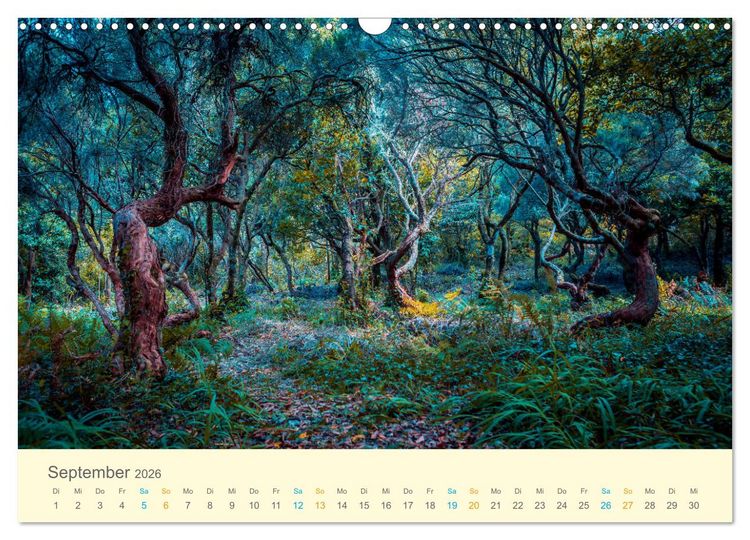 Produktbild: Wanderwege - zu Fu&szlig; in Europa (Wandkalender 2026 DIN A3 quer), CALVENDO Monatskalender